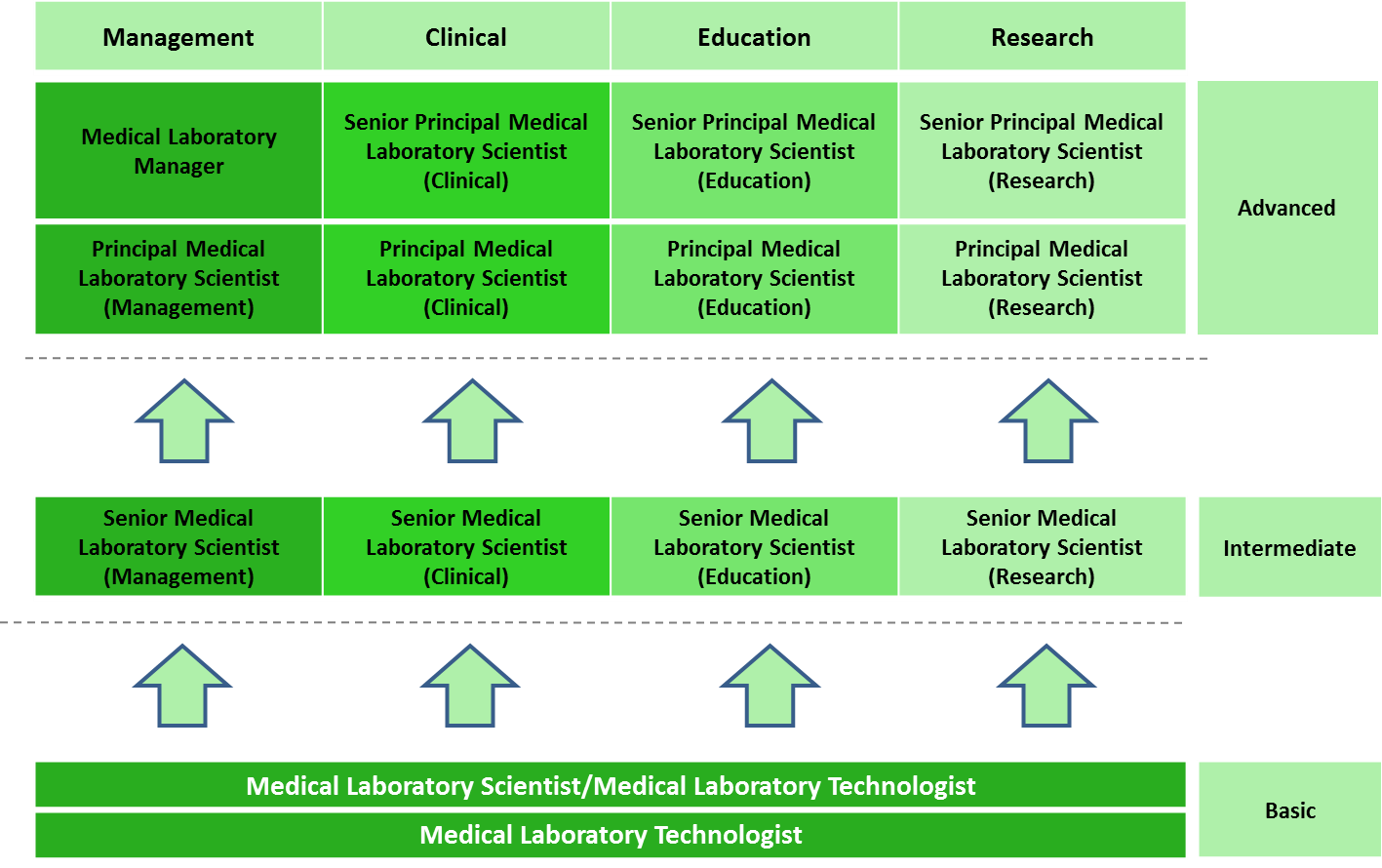 Laboratory Technologist Career